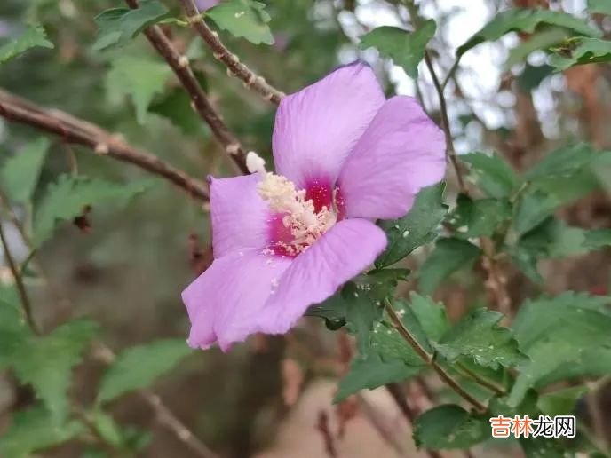 你有一份桂院观影券，请查收