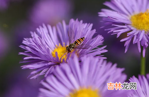 女人几点钟出生一生享福 命中带财的女人分析