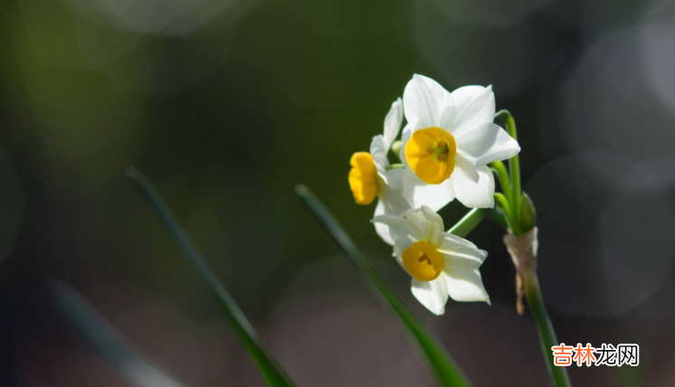 3月7日出生的人很可怕吗 3月7日出生是什么命