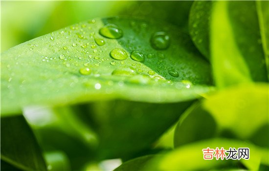 都说婆婆跟儿媳妇无论相处的多好 婆婆不需跟儿媳妇说太多的话，这也是很正常的
