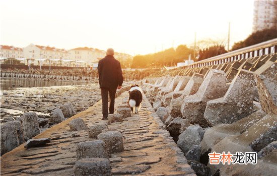 婆媳关系虽然很复杂但是在有些家庭中婆婆跟儿媳妇相处的像亲生母女一样 婆婆会真心对儿媳妇好吗？