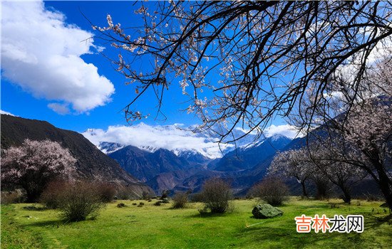 婆媳吵架应该算得上是一件很正常很普通的一件事 婆媳吵架，婆婆给儿媳下跪怎么办？