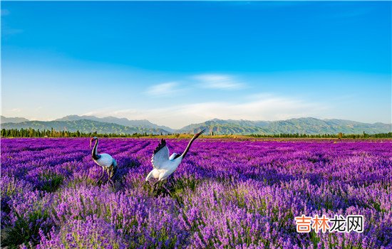 其实要是婆媳关系相处的好 有一个好的婆媳关系，你们的家庭就会非常的幸福