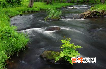 戊戌日柱男命怎么样 戊戌日柱最佳配对