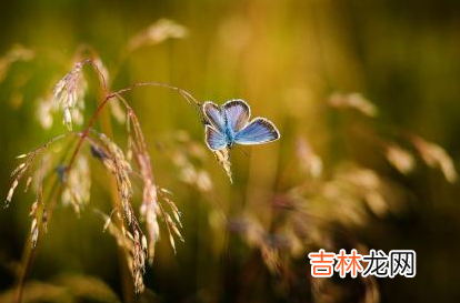 甲申日柱女命运如何 甲申日的婚姻状况