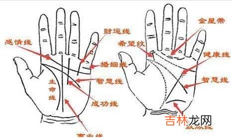 断掌的女人命运怎样 断掌为什么不能告诉别人