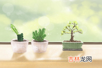 佛教说八月初一出生的女孩如何 八月出生人的幸运色