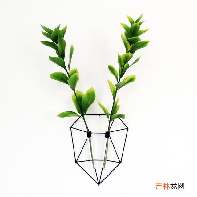 一、有些失望是无可避免的 十年前，你周围的人会根据你父母的收入对待你