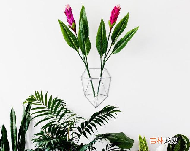 一、有些失望是无可避免的 十年前，你周围的人会根据你父母的收入对待你