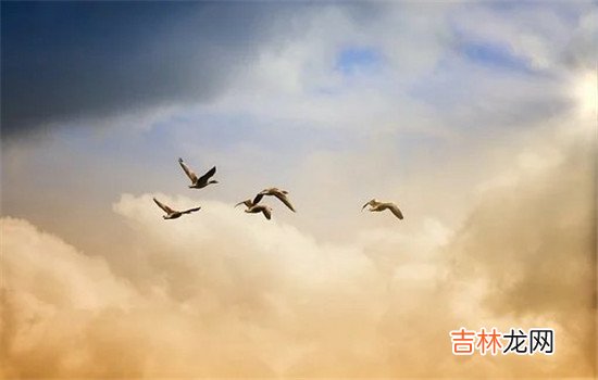 挽回你知道怎么跟他交流吗？挽回前男友的聊天技巧 挽回前男友的聊天技巧，你需要学会先把话说明白