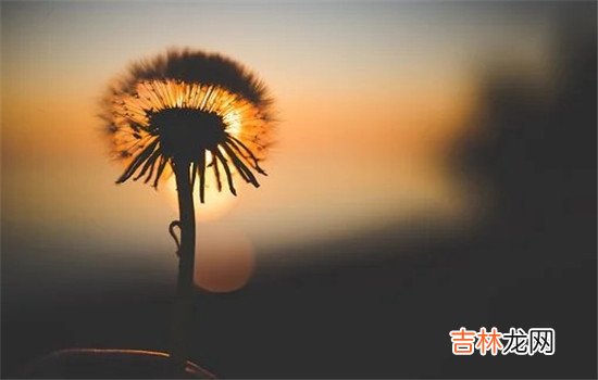 挽回你知道怎么跟他交流吗？挽回前男友的聊天技巧 挽回前男友的聊天技巧，你需要学会先把话说明白