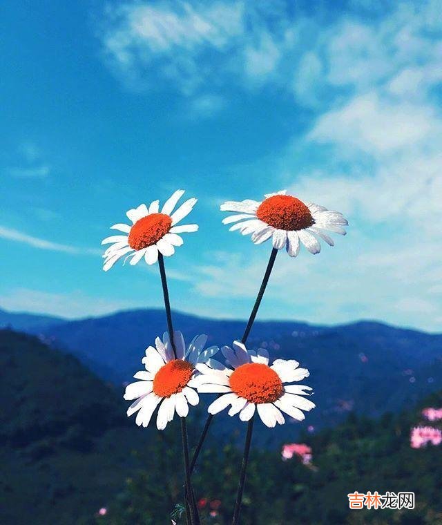 每一段岁月都有它存在的价值,都不应该被辜负