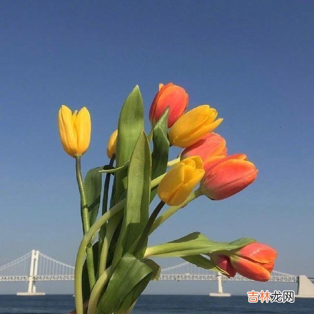 一、你的人生永远不会辜负你的 人生没有这么多来日方长,只有世事无常