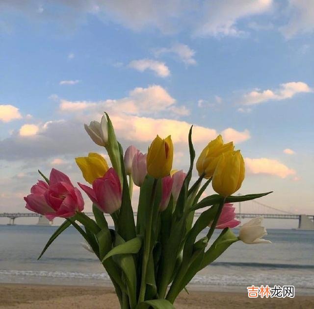 一、你的人生永远不会辜负你的 人生没有这么多来日方长,只有世事无常