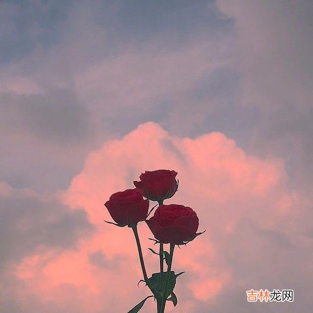 一、你的人生永远不会辜负你的 人生没有这么多来日方长,只有世事无常