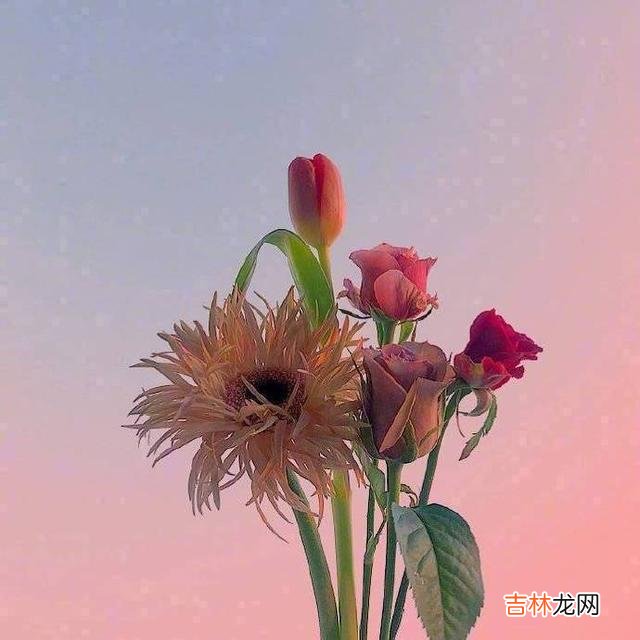 一、你的人生永远不会辜负你的 人生没有这么多来日方长,只有世事无常