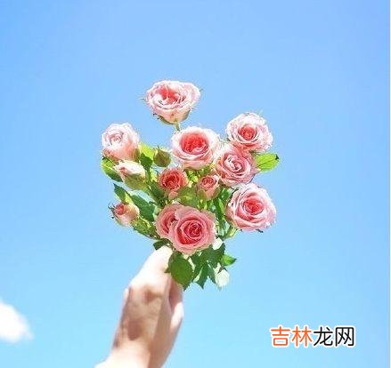 一、想得太多会毁了你。|想得太多会毁了你，若无其事，才是最好的报复