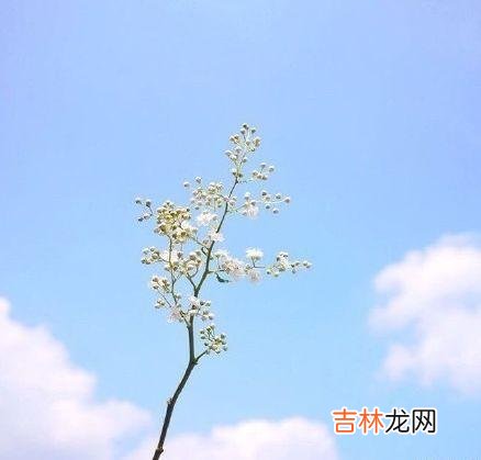 一、想得太多会毁了你。|想得太多会毁了你，若无其事，才是最好的报复