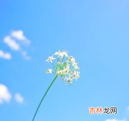 一、想得太多会毁了你。|想得太多会毁了你，若无其事，才是最好的报复