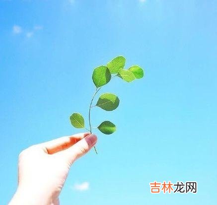 一、想得太多会毁了你。|想得太多会毁了你，若无其事，才是最好的报复