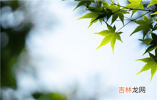 夫妻感情破裂离婚好吗 夫妻感情破裂离婚好吗离婚对孩子的好处