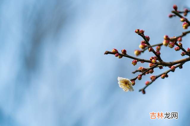 职场中，这三种行为很掉价，很多人都意识不到