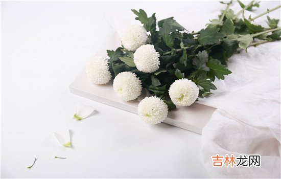 相亲第二次女生主动买单代表着什么？