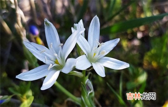 在这个世界上人们会遇到许多形形色色的人 为什么妻子选择出轨后,丈夫会彻底原谅?