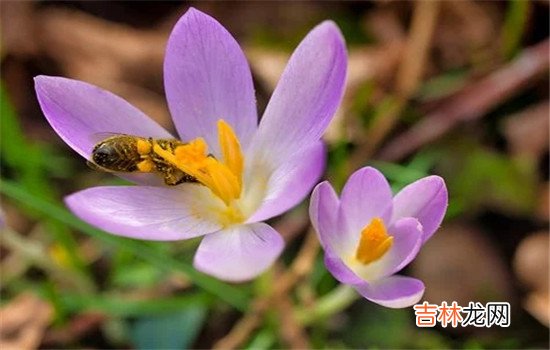 在这个世界上人们会遇到许多形形色色的人 为什么妻子选择出轨后,丈夫会彻底原谅?