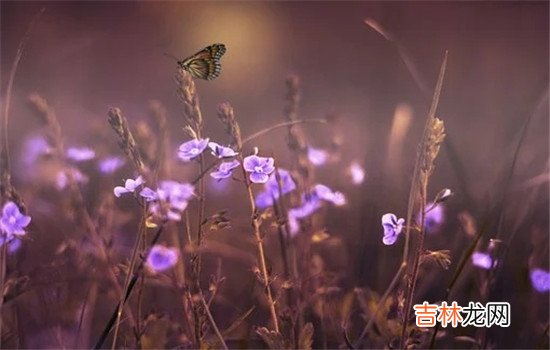 很多男生是不能接受自己的女朋友出轨的 很多男生是不能接受自己的女朋友出轨的，特别是肉体上的出轨