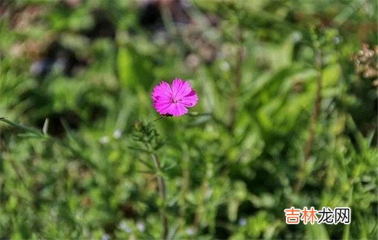 很多男生是不能接受自己的女朋友出轨的 很多男生是不能接受自己的女朋友出轨的，特别是肉体上的出轨