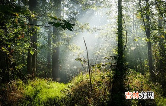 在爱情的世界里选择很重要 出轨女人如果对你没有一丝感情了就不值得去挽回