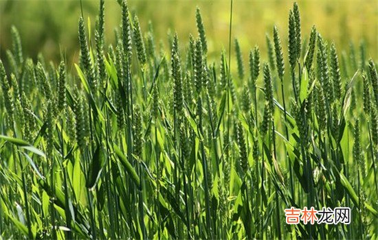 出轨和家暴一样只有零次和无数次 出轨和家暴一样只有零次和无数次，一次不忠终生不用