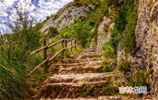 出轨和家暴一样只有零次和无数次 出轨和家暴一样只有零次和无数次，一次不忠终生不用