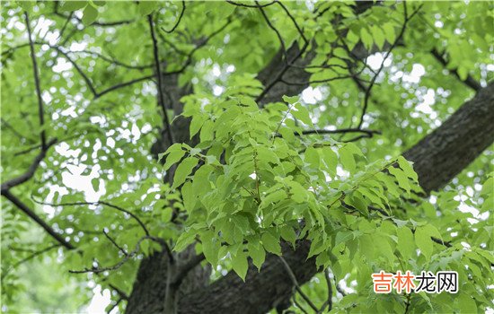 在很多婚姻当中 老婆出轨了，对方不喜欢你了，像这种应该是无法挽回的