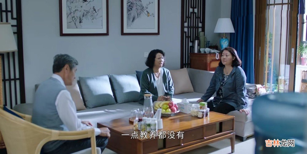 《不期而至》蛮横婆婆：我儿子就是你克死的，把昧下的钱吐出来