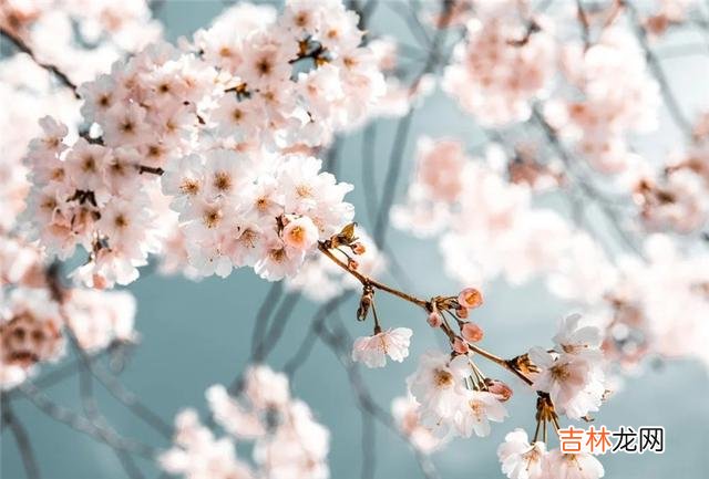 婆婆提的“善良”和“贪心”两个词，婚姻能否顺利开始