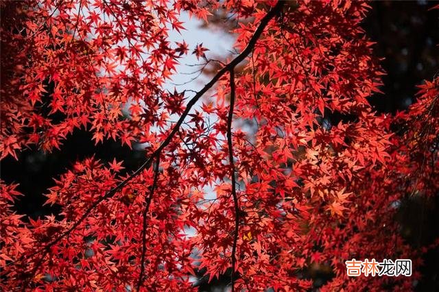 婆婆提的“善良”和“贪心”两个词，婚姻能否顺利开始
