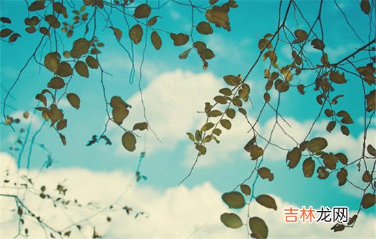现在好像女生也只是需要嫁给一个好男人 女朋友出軌牌友怎麽辦  去帮她找一份工作
