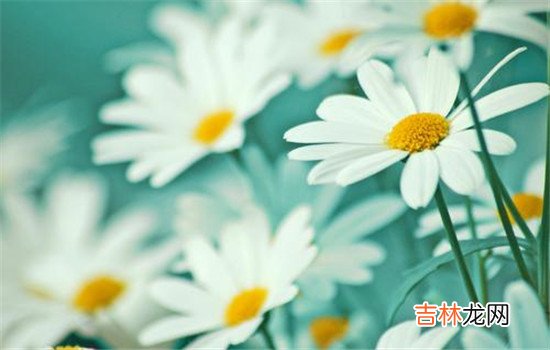 在面对我们的感情生活里面 女朋友出轨她同事怎么办  带她出去旅游