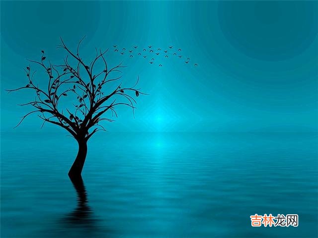 01搬家之后 人到低谷，与其喊穷，不如赚钱