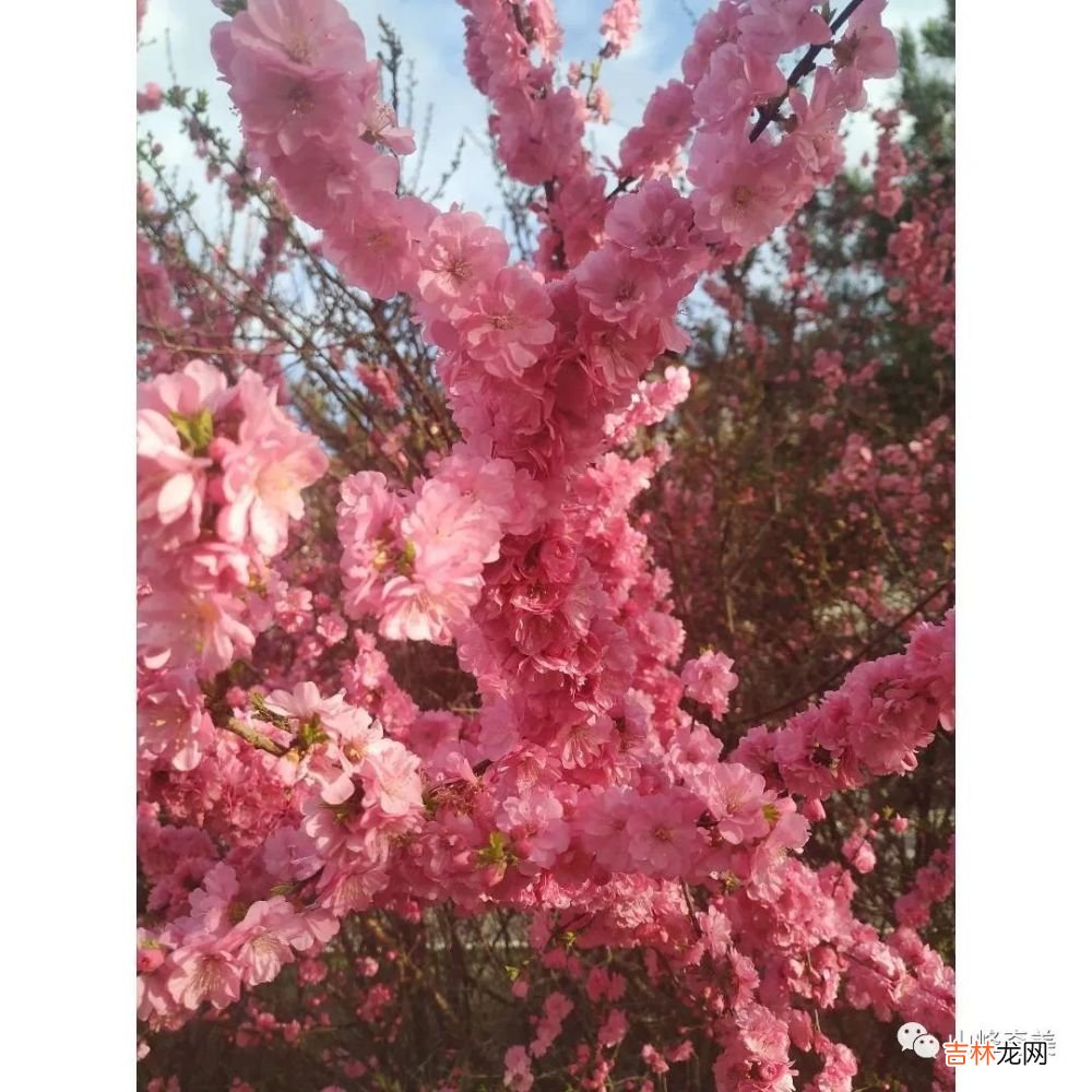 读书吧，读书是人生最高境界