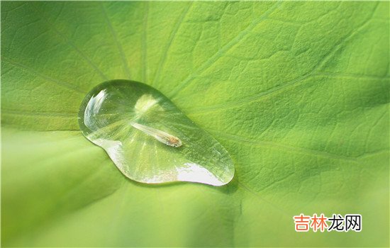 其实很多时候感情是不公平的 为女朋友做了所有女朋友还是出轨了，这就是男生跟女生观念的不同