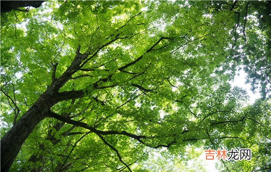 其实很多时候感情是不公平的 为女朋友做了所有女朋友还是出轨了，这就是男生跟女生观念的不同