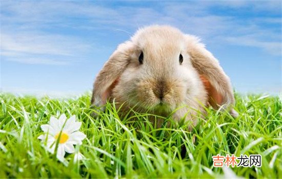 每个人在谈恋爱的时候都会遇到挫折 恋爱中女朋友出轨可以原谅吗，她能跟你道歉就说明她已经后悔了