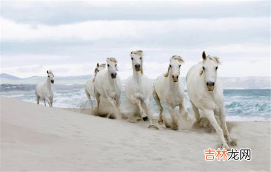 每个人在谈恋爱的时候都会遇到挫折 恋爱中女朋友出轨可以原谅吗，她能跟你道歉就说明她已经后悔了