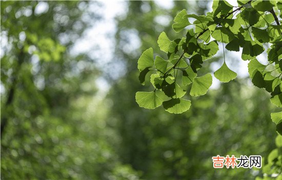 相信不止是女生不愿意看到自己的男朋友出轨 女朋友出轨最好的解决办法，那肯定是直接跟她分手