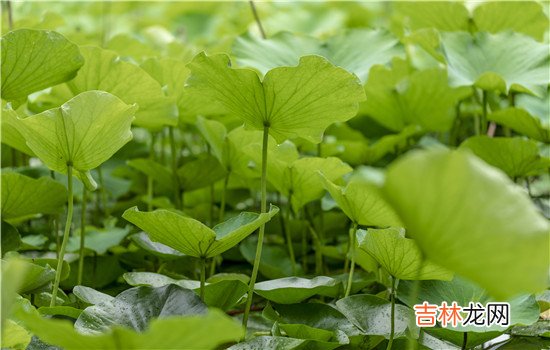 相信不止是女生不愿意看到自己的男朋友出轨 女朋友出轨最好的解决办法，那肯定是直接跟她分手