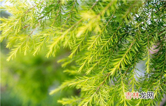 相信不止是女生不愿意看到自己的男朋友出轨 女朋友出轨最好的解决办法，那肯定是直接跟她分手