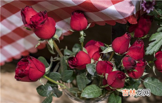 虽然大多数人都知道现在我们的生活中也有非常多的女生选择出轨 异地女友出轨了但还接我电话，她觉得自己出轨这件事没有做错